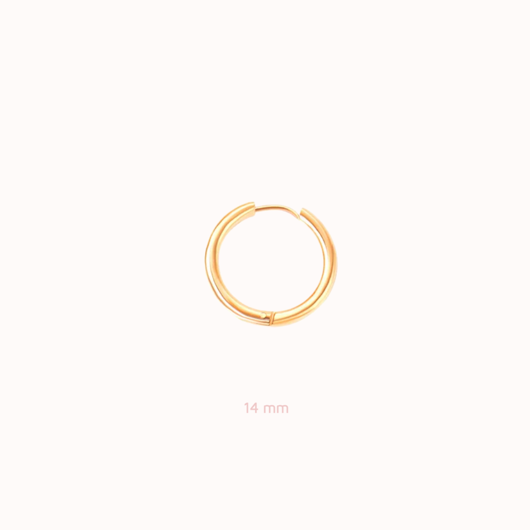Everyday Hoops Gold