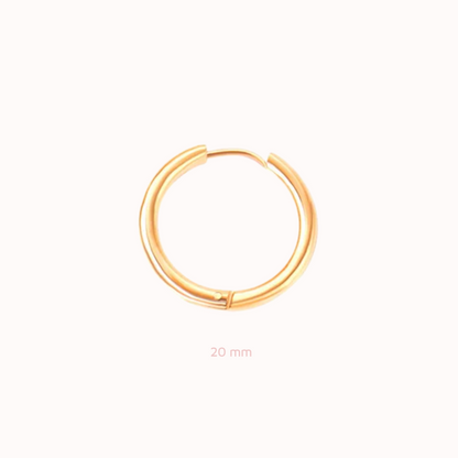 Everyday Hoops Gold
