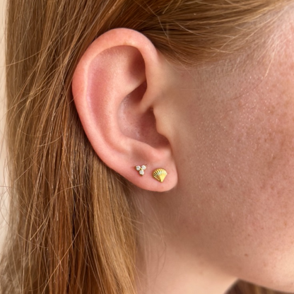 Seashell Flat Back Stud Gold