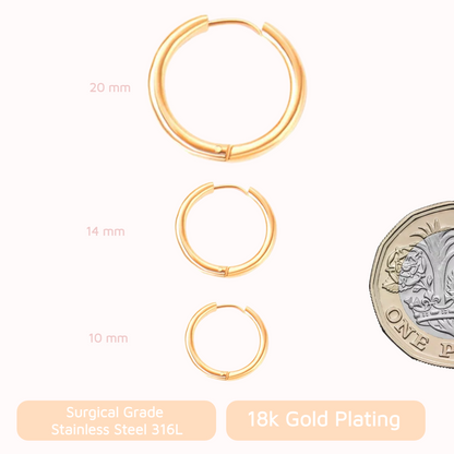 Everyday Hoops Gold
